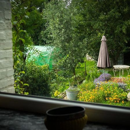 Gite « Le Sault-Poket » Walcourt Exteriör bild